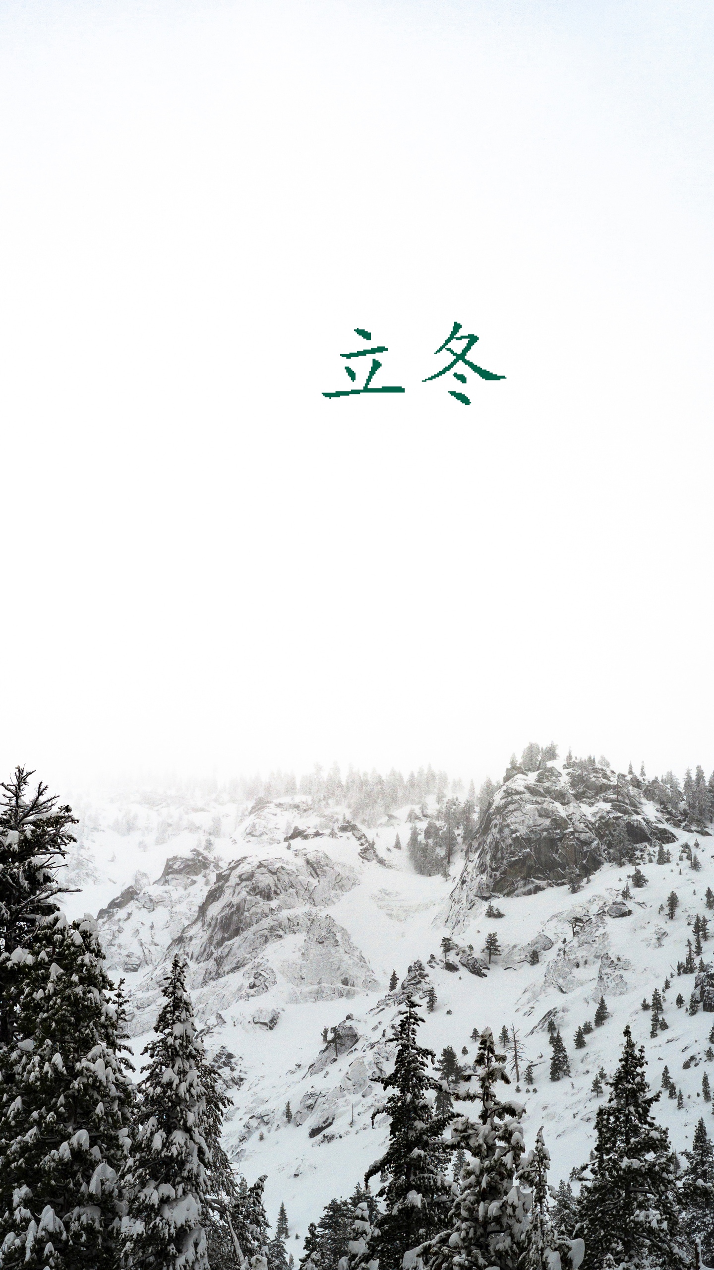 立冬时节白茫茫