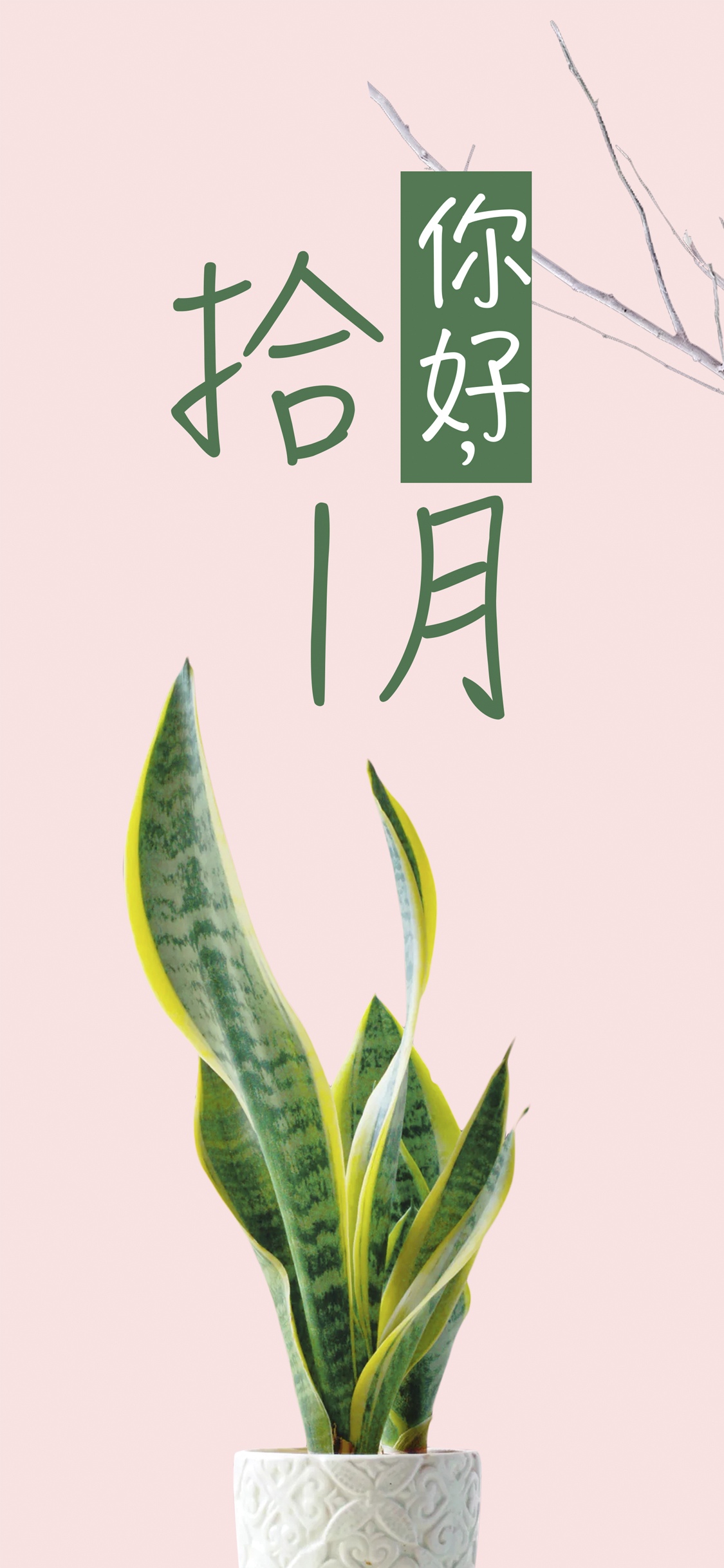 拾1月你好