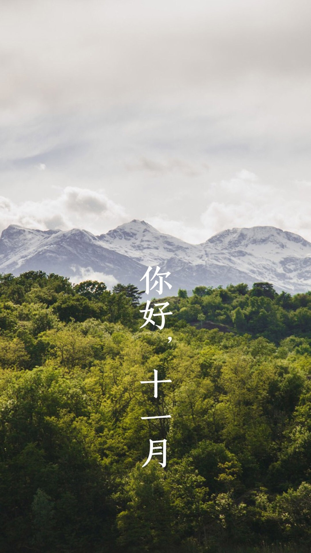 十一月你好