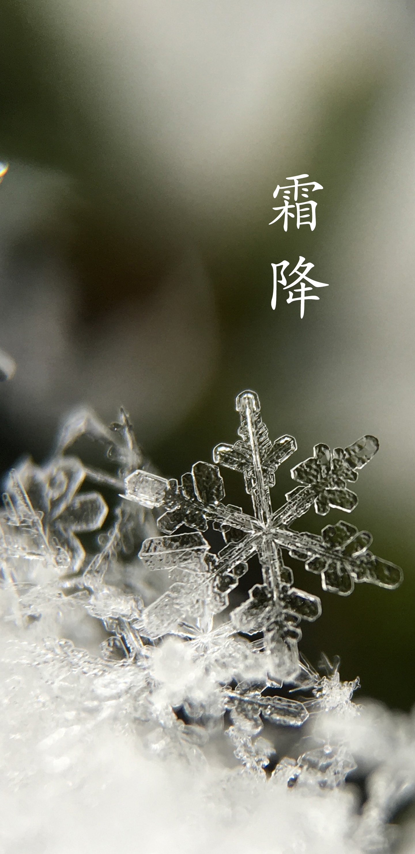 冰天雪地霜降后
