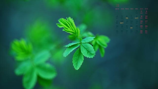 2019年3月初春绿色小清新植物写真日历