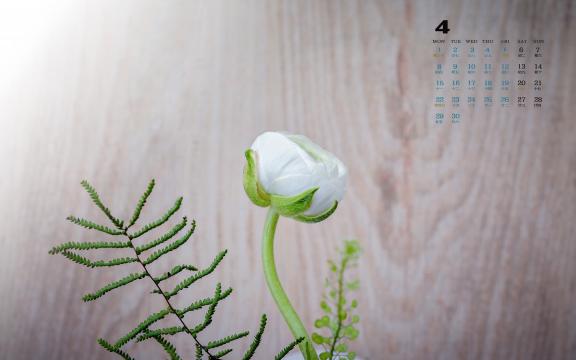 2019年4月春暖花开的时节日历