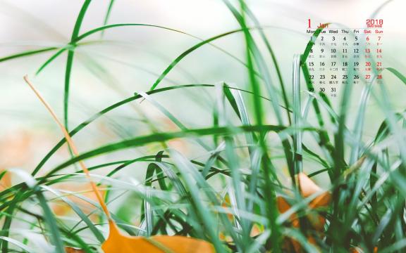 2018年1月花草日历
