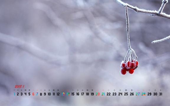 2018年1月雪景日历