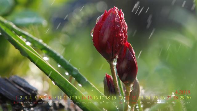 2018年4月雨水日历