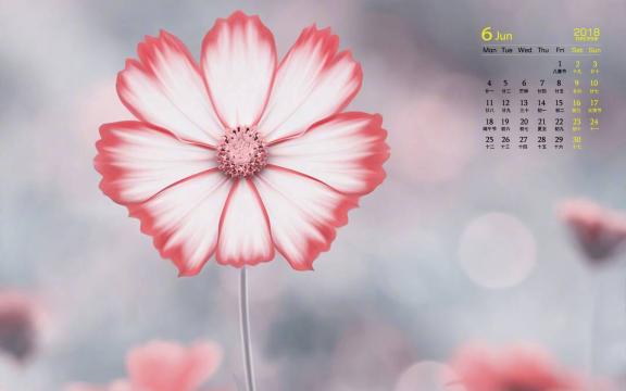 2018年6月奇异小清新花卉日历