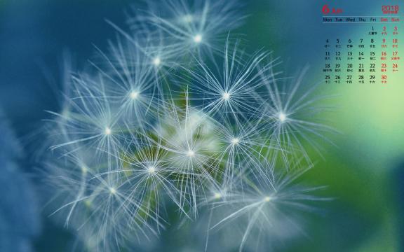 2018年6月蒲公英唯美意境图片日历