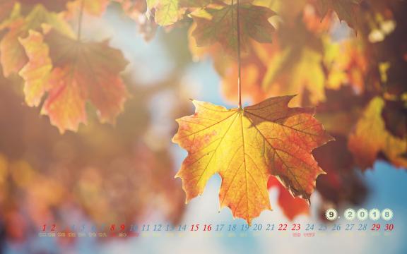 2018年9月秋景日历