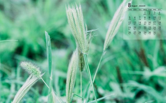 2018年8月小清新护士护眼植物写真日历
