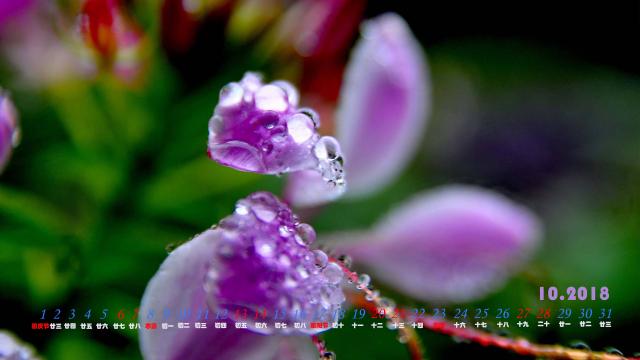 2018年10月露水日历