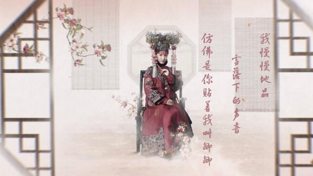 《延禧攻略》人物海报