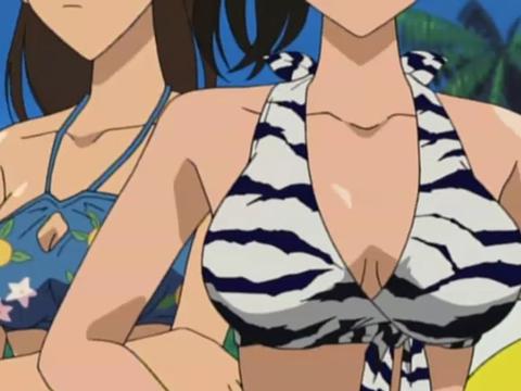 毛利兰泳装
