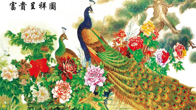工笔画花鸟孔雀