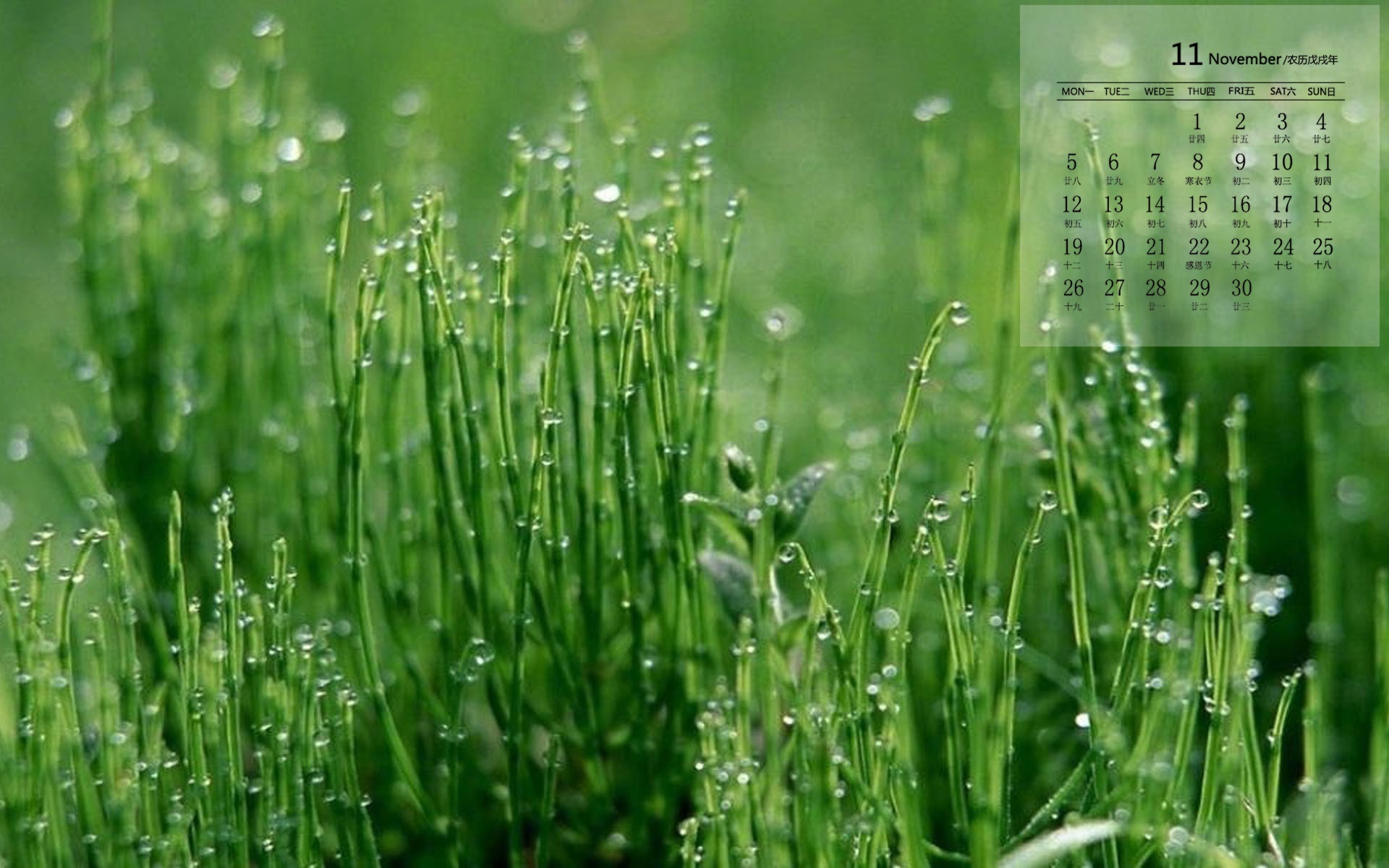 2018年11月绿色植物护眼日历