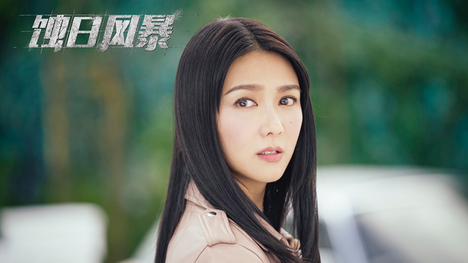 蚀日风暴(2018)