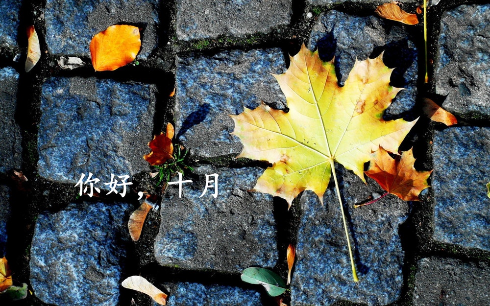 九月再见,十月你好