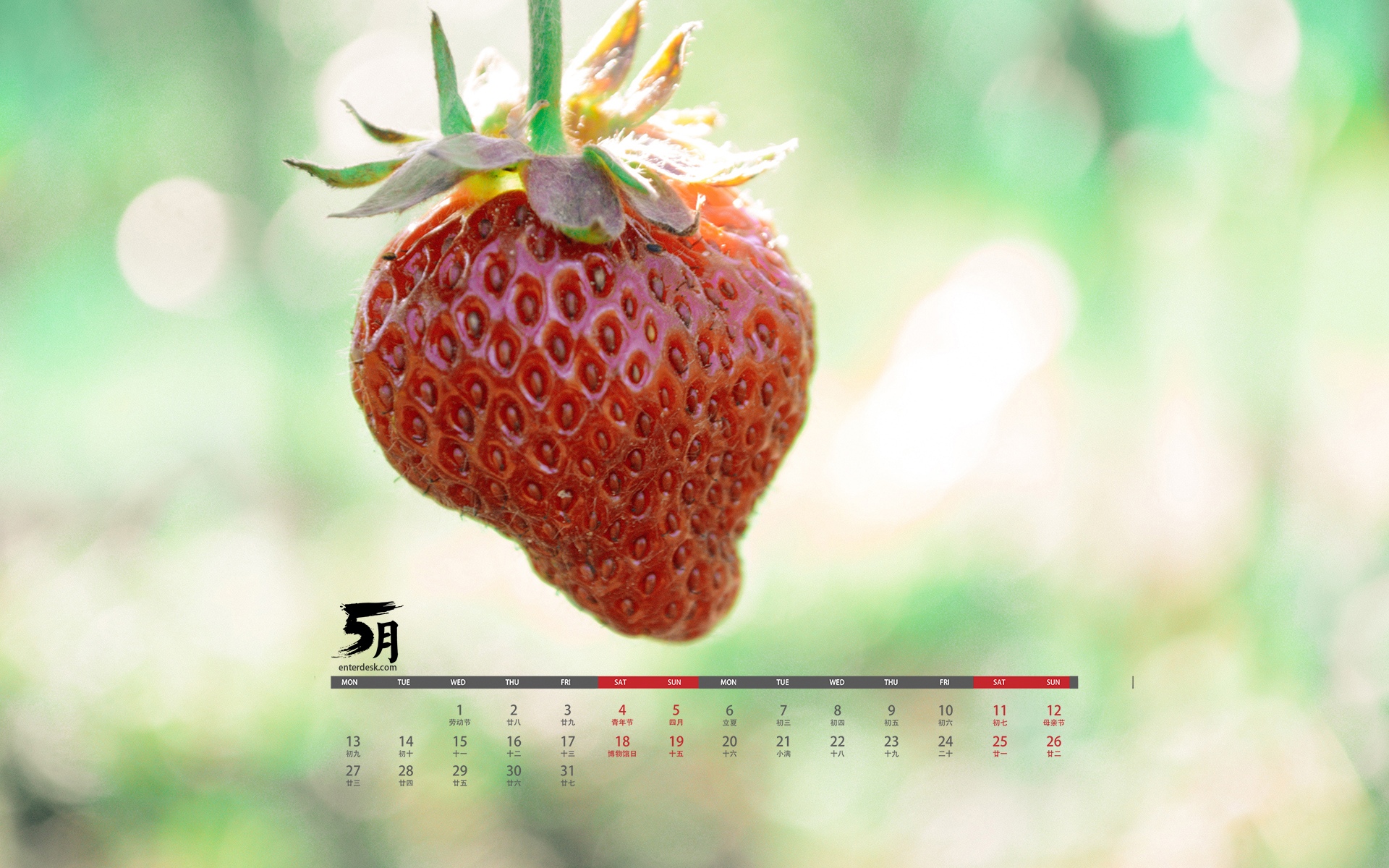 2019年5月小清新唯美微距摄影日历
