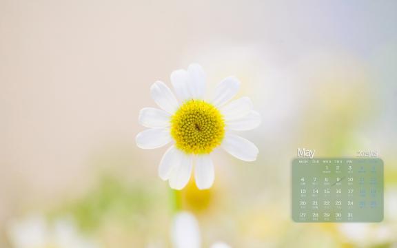 2019年5月小清新唯美微距摄影日历