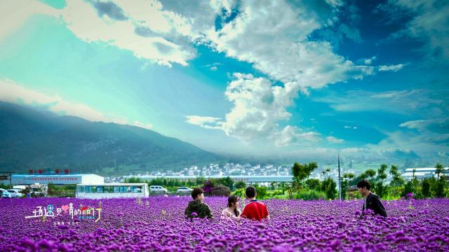 爱情剧《一场遇见爱情的旅行》