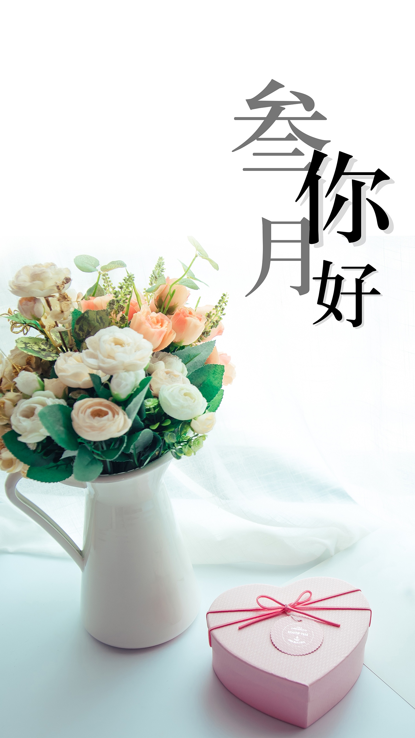 送给三月的你