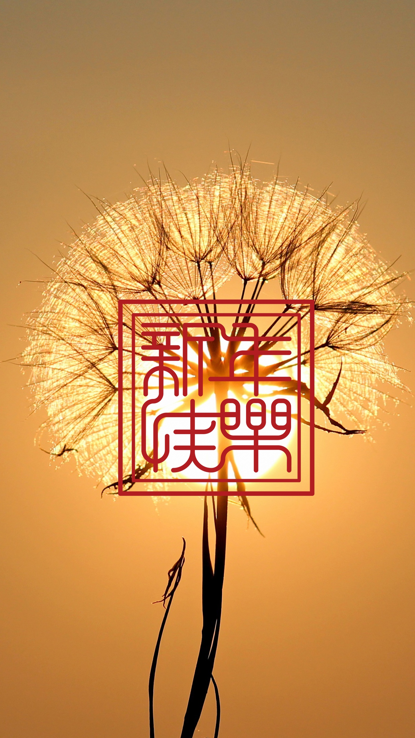 新年又到祝福也到