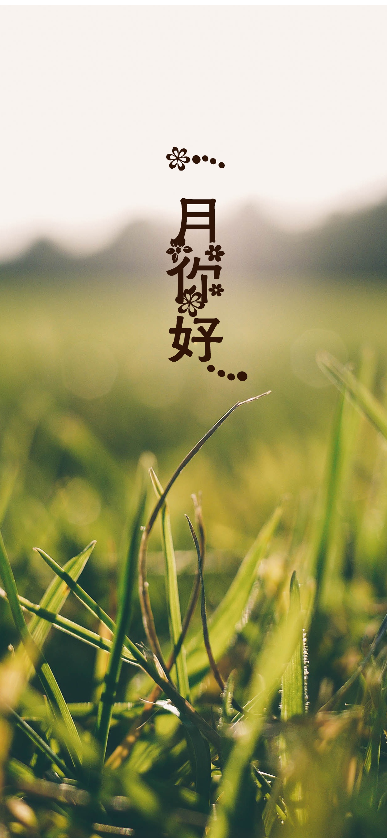 一月来了,春天还会远吗