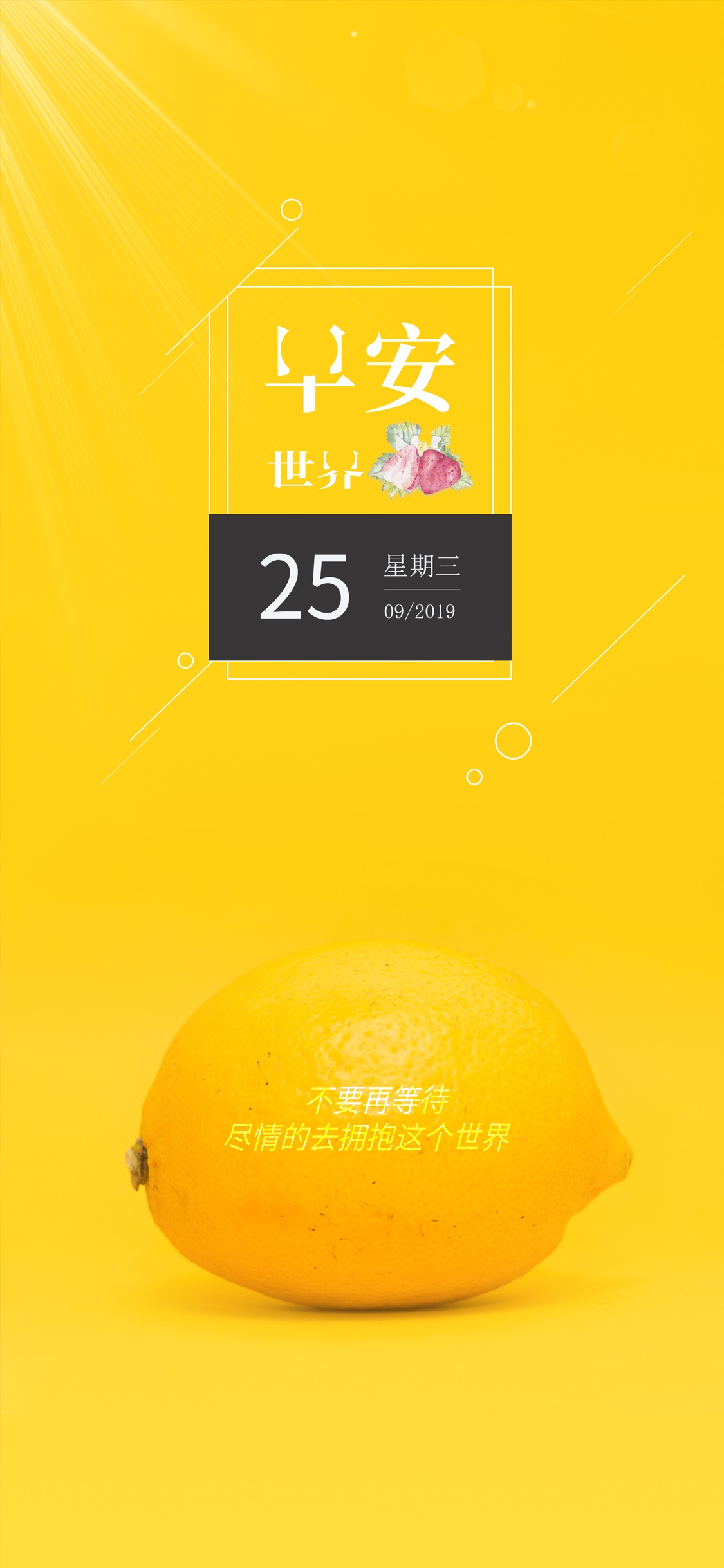 不要再等待,尽情的去拥抱这个世界