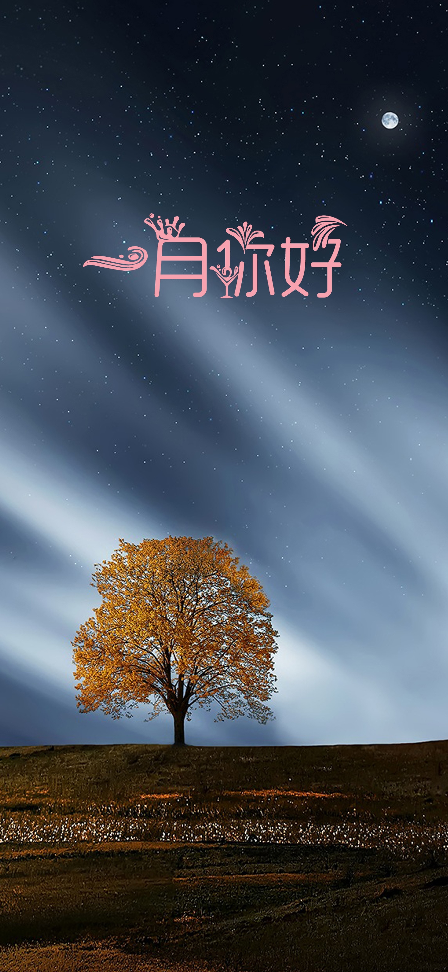 一月高阔的天空挂满着星斗