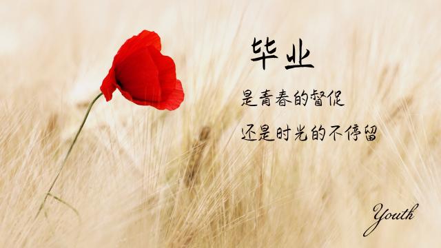 毕业离别的文艺短句子图片