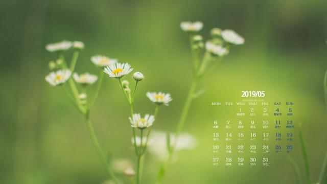 2019年5月小清新植物自然风光日历