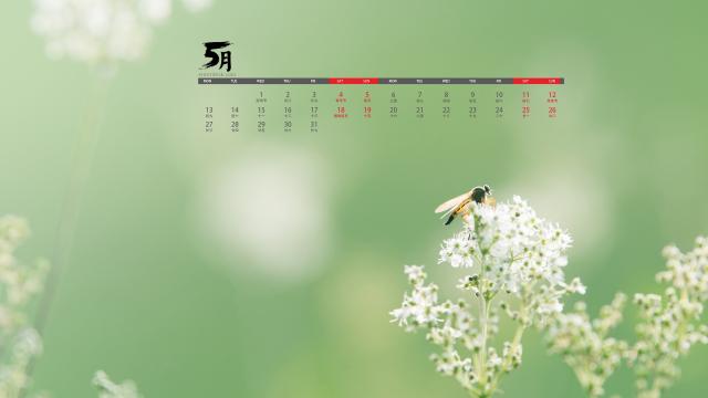 2019年5月小清新植物自然风光日历