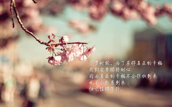 追求幸福