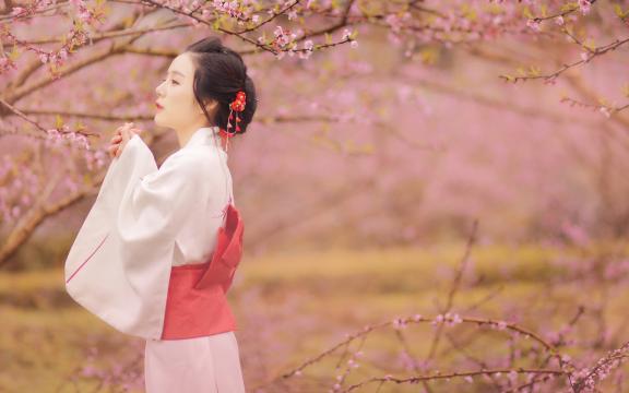 樱花树下的和服气质美女写真