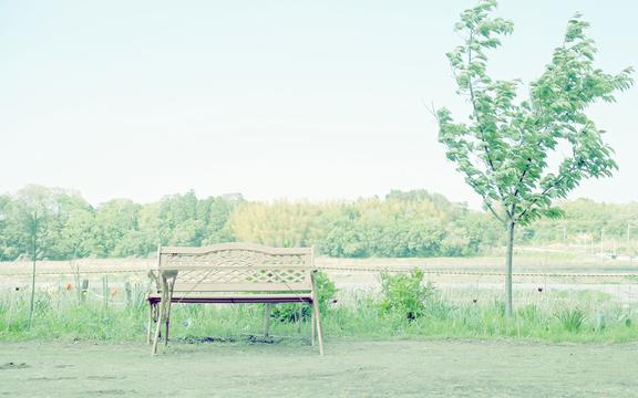 夏日清新的椅子