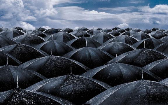 失落的雨季