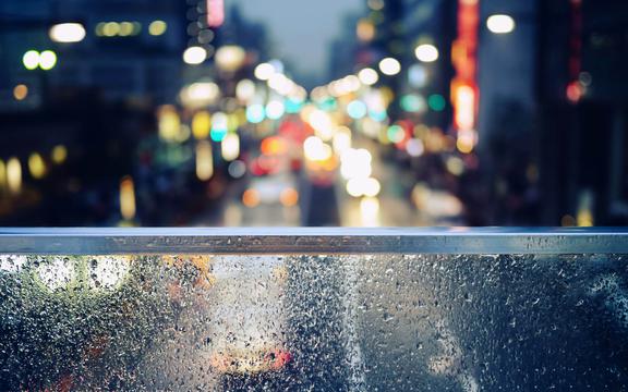 失落的雨季