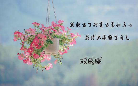 关于双鱼座说说图片