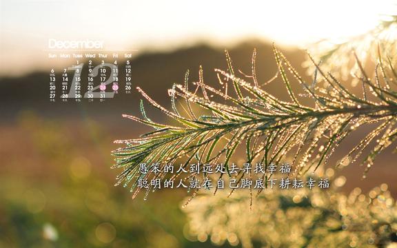 2015年12月文艺日历