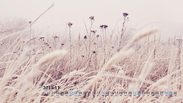 2015年11月晚秋日历