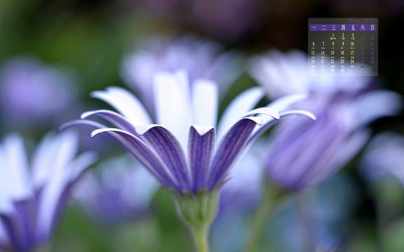 2015年4月清新花卉日历
