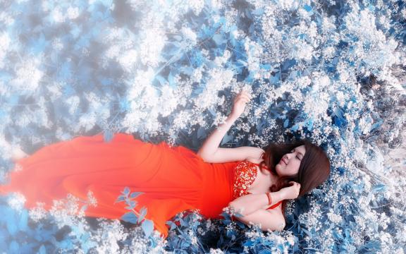 美人如花隔云端