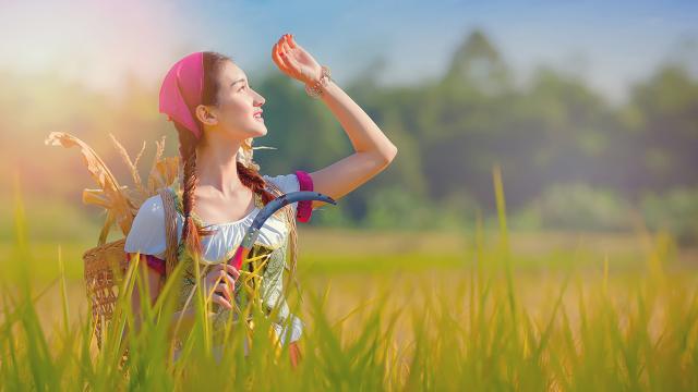 美貌动人的麦田女孩
