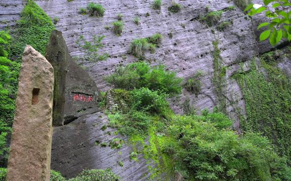 美丽的武夷山风光