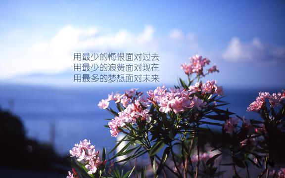 追求梦想