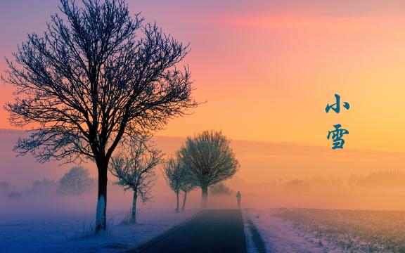 小雪时节的雪景