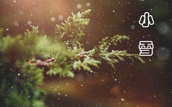 小雪时节的雪景