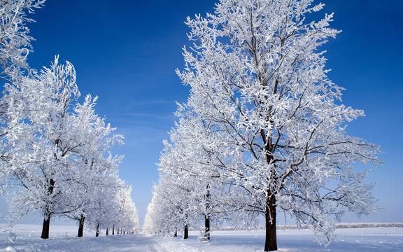 小雪节气美景
