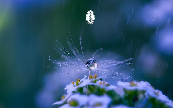 24节气寒露景色