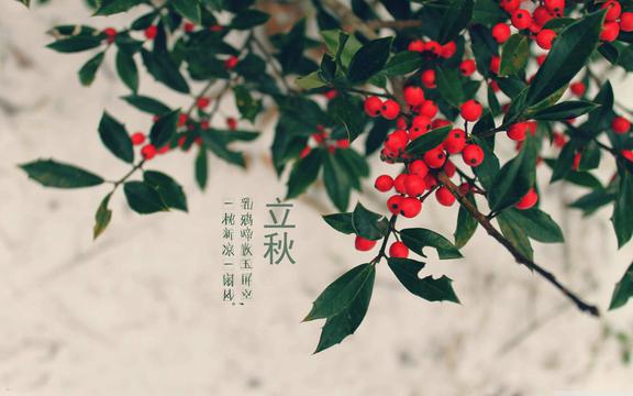 立秋节气风光