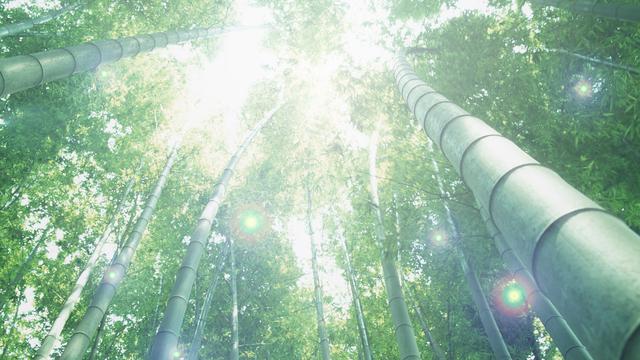 二十四节气大暑